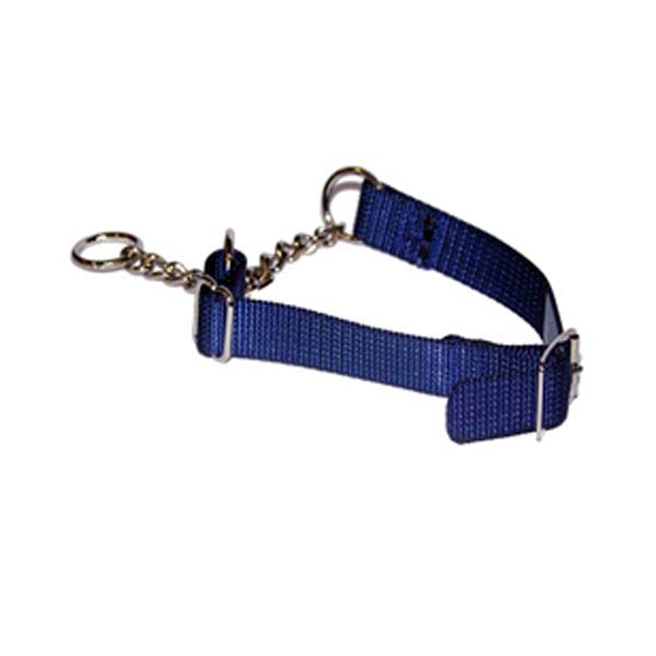 Dog Collars