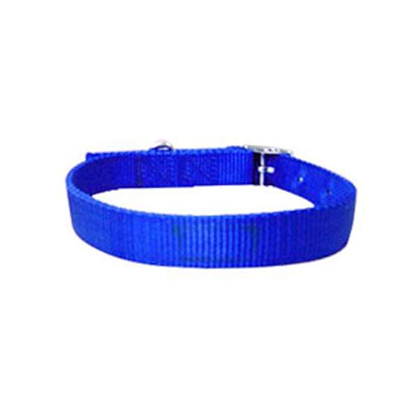 Dog Collars