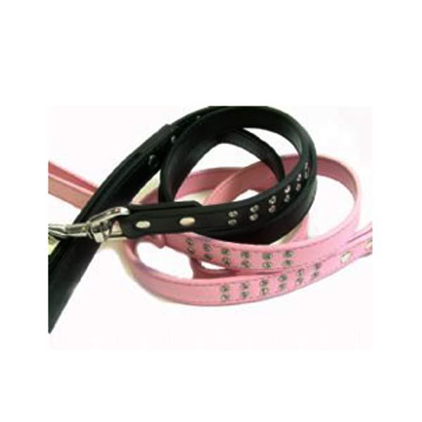 Dog Leads