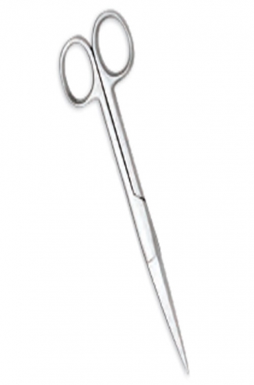 Delicate Scissors