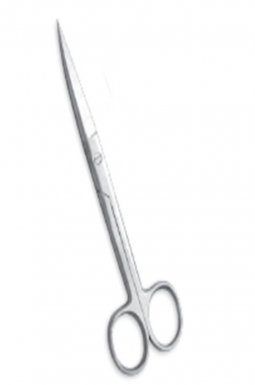 Delicate Scissors
