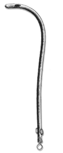 Urology