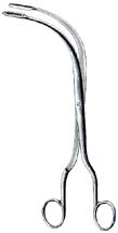 Larynx