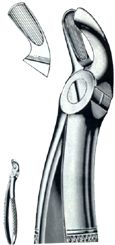 EXTRACTING FORCEPS