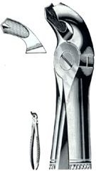 EXTRACTING FORCEPS