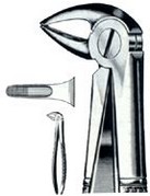 EXTRACTING FORCEPS