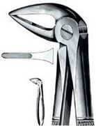 EXTRACTING FORCEPS