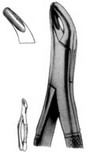 American Extracting Forceps