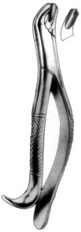 American Extracting Forceps