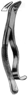 American Extracting Forceps