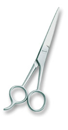Barber Scissor