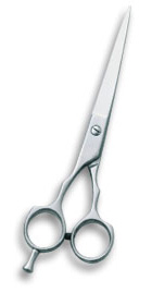 Barber Scissor